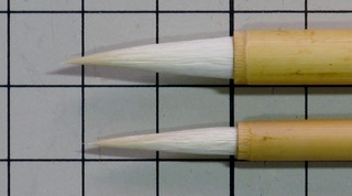 SIMG_3529.jpg